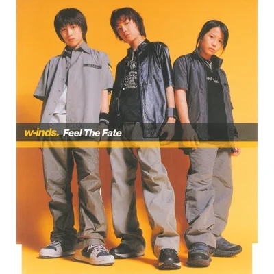 윈즈 - Feel The Fate 앨범 커버