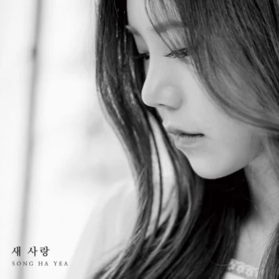송하예 - 새 사랑 앨범 커버