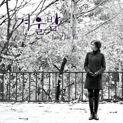 장재인 - 겨울밤 앨범 커버