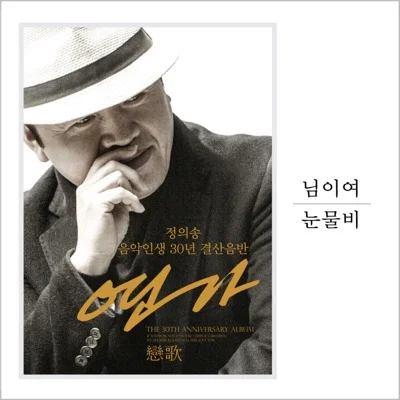 정의송 - 눈물비 앨범 커버