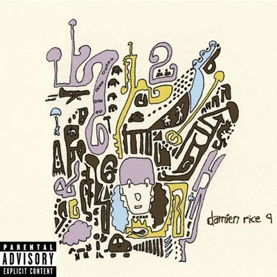 Damien Rice - 9 Crimes 앨범 커버