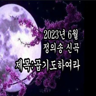 정의송 - 곱기도하여라 앨범 커버