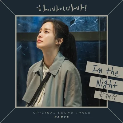 박재정 - In The Night(하이바이마마OST) 앨범 커버
