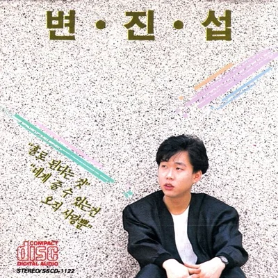 변진섭 - 새들처럼 앨범 커버