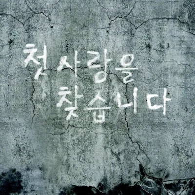 서영은 - 첫사랑을 찾습니다 앨범 커버