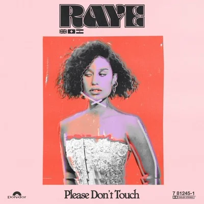 RAYE - Please Don't Touch 앨범 커버