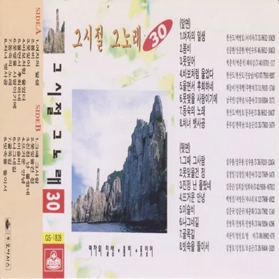 진송남 - 바보처럼 울었다 앨범 커버