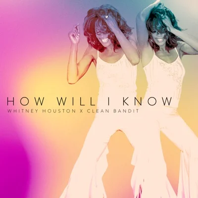 Whitney Houston - How Will I Know 앨범 커버