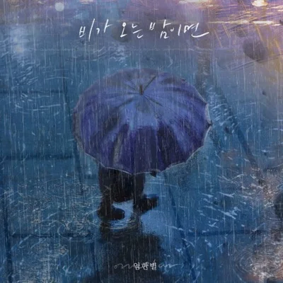 임한별 - 비가 오는 밤이면 앨범 커버