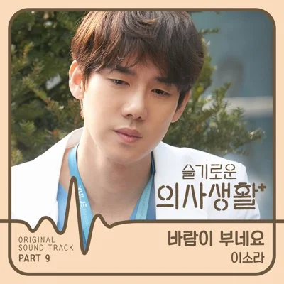 이소라 - 바람이 부네요(드라마 "슬기로운 의사 생활") 앨범 커버