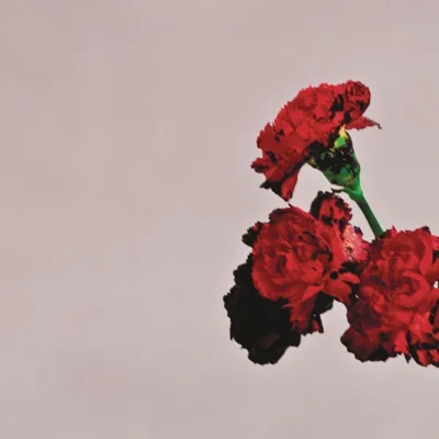 John Legend - For The First Time 앨범 커버