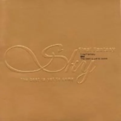 SKY(스카이) - 언제나 항상 내 곁에 앨범 커버