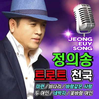 정의송 - 미련 앨범 커버