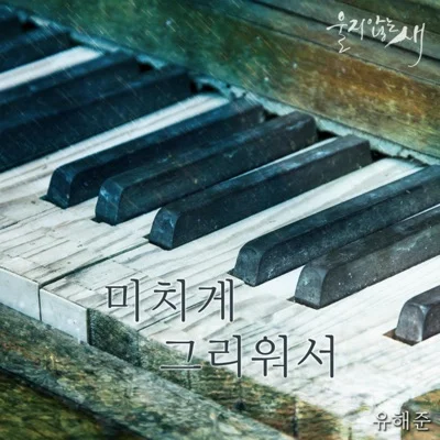 유해준 - 미치게그리워서(울지않는새OST) 앨범 커버