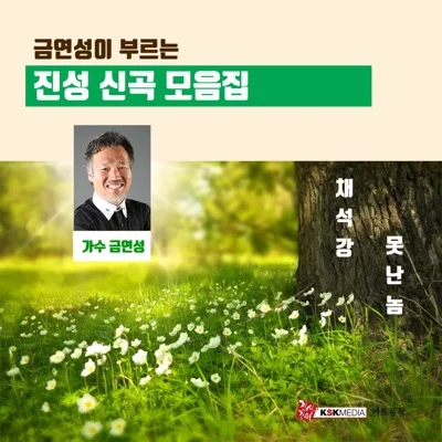 진성 - 채석강 앨범 커버