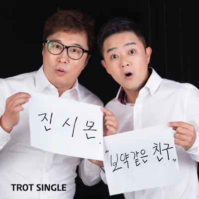 진시몬 - 보약 같은 친구 앨범 커버