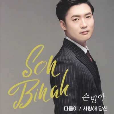 손빈아 - 다듬이 앨범 커버