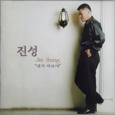 진성 - 님찾아가는길 앨범 커버