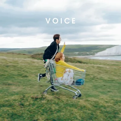 스탠딩 에그(Standing Egg) - Voice 앨범 커버