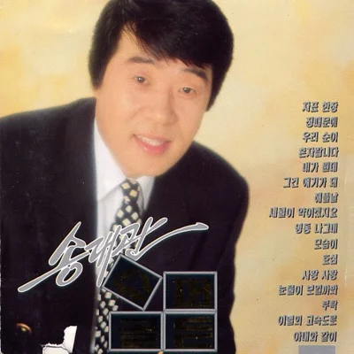 송대관 - 모습이 앨범 커버
