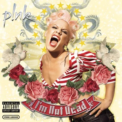 Pink - Stupid girls 앨범 커버