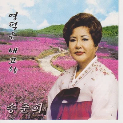 송춘희 - 눈물의 한탄강 앨범 커버
