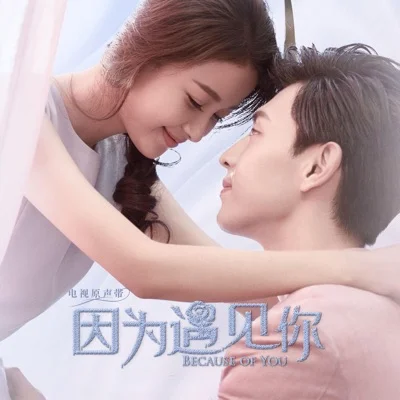 开始想你了(电视剧'因为遇见你'插曲)
