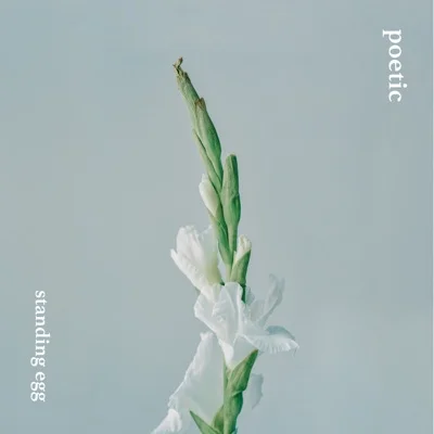 스탠딩에그 - 밉진않아 앨범 커버