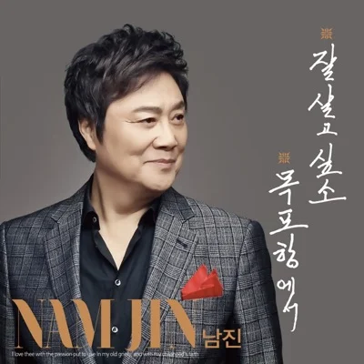 남진 - 잘 살고 싶소 앨범 커버