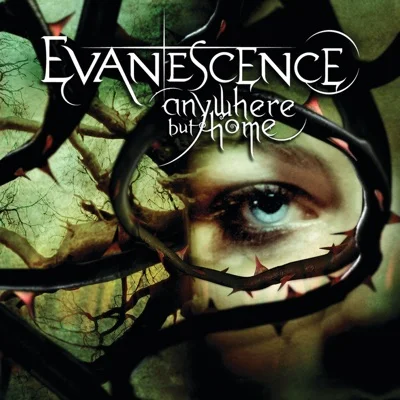 Evanescence - THOUGHTLESS 앨범 커버
