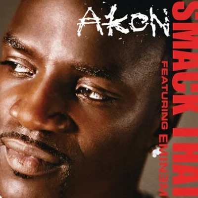 Akon - Smack That (Feat.Eminem) 앨범 커버