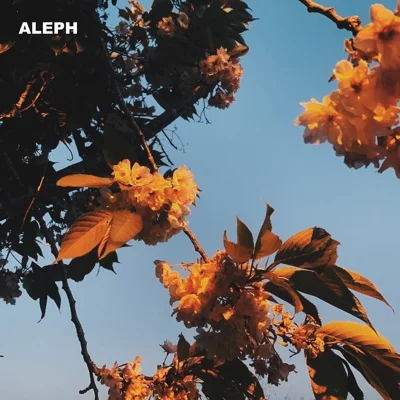 알레프(ALEPH) - 네가사랑한것들을기억할게 앨범 커버
