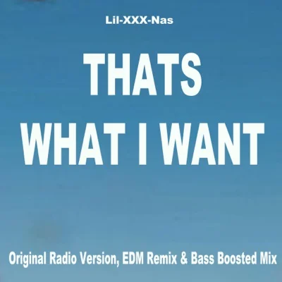 Lil Nas X - THATS WHAT I WANT 앨범 커버