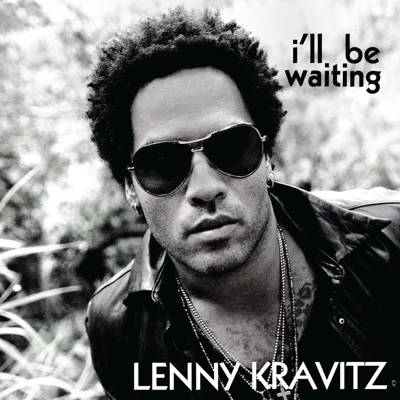 Lenny Kravitz - Again 앨범 커버