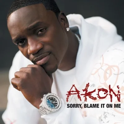 Akon - Sorry, Blame It On Me 앨범 커버