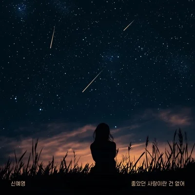 신예영 - 좋았던사랑이란건없어 앨범 커버
