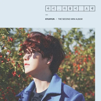 규현 - 그냥보고싶어그래(Because I Miss You) 앨범 커버