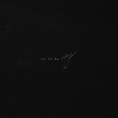Shawn Mendes - It'll Be Okay 앨범 커버