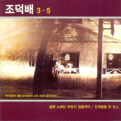 조덕배 - 늘 바라봐도 앨범 커버