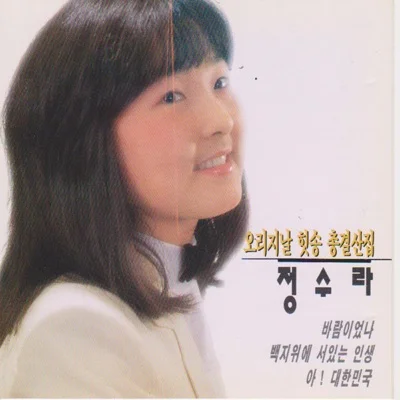정수라 - 바람이었나 앨범 커버
