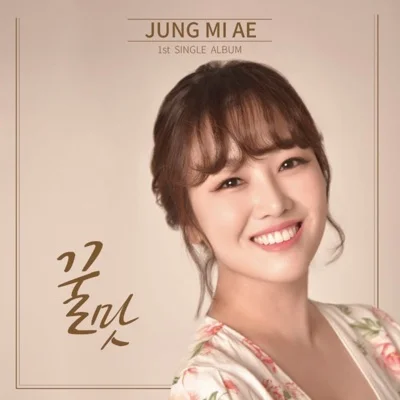 정미애 - 꿀맛 앨범 커버