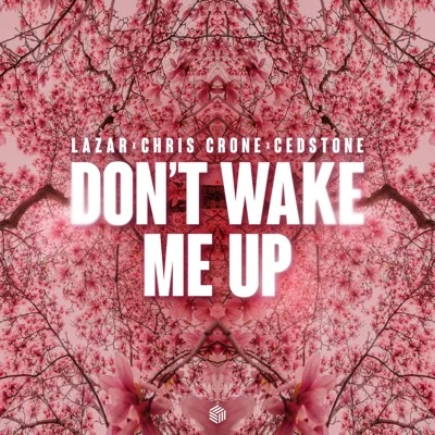 Chris Brown - Don't Wake Me Up 앨범 커버