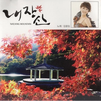 김용임 - 내장산 앨범 커버