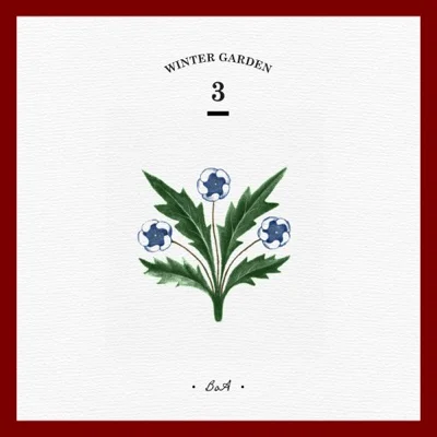 보아 - Christmas Paradise 앨범 커버