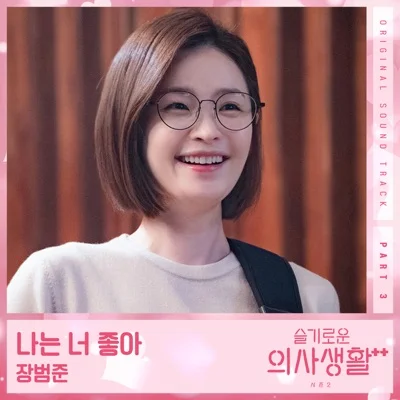 장범준 - 나는 너 좋아(드라마 "슬기로운 의사 생활..") 앨범 커버