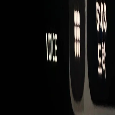 밤(Night)