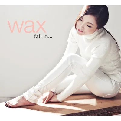 왁스(WAX) - 술이 웬수야 앨범 커버
