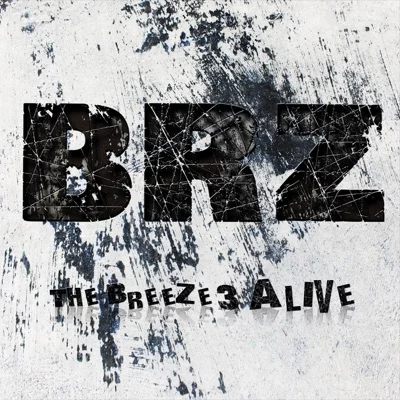 브리즈(The Breeze) - Try To Remember You 앨범 커버