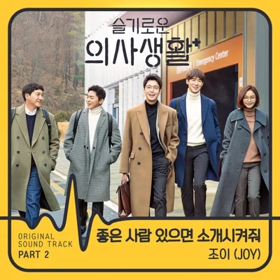 조이 - 좋은사람있으면소개시켜줘(슬기로운의사생활OST) 앨범 커버