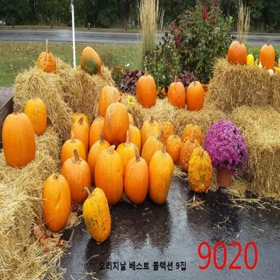 성민호 - 무엇이 너와 나를 슬프게 하나 앨범 커버